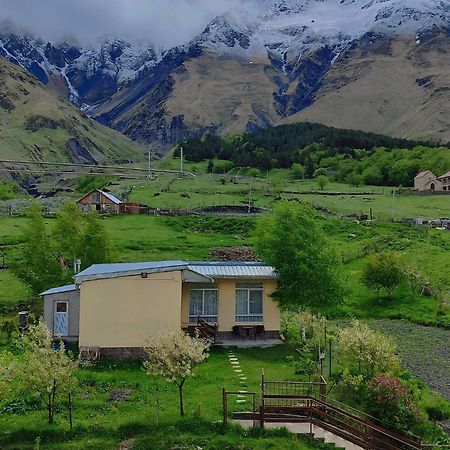 Mountain Kazbegi Apartment Dış mekan fotoğraf