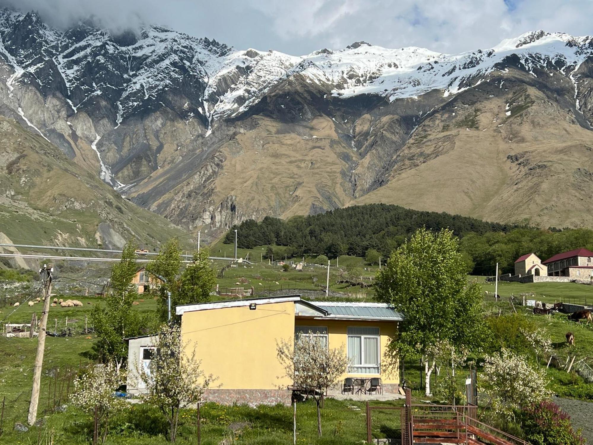 Mountain Kazbegi Apartment Dış mekan fotoğraf